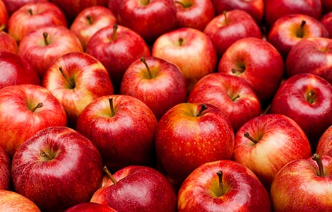 Manzanas: Aplicaciones de boro para aumentar la producción de manzanas