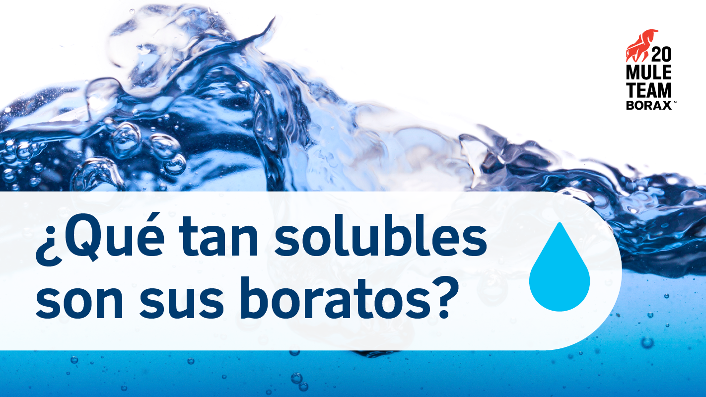 Solubilidad de los Minerales Boratos en Agua