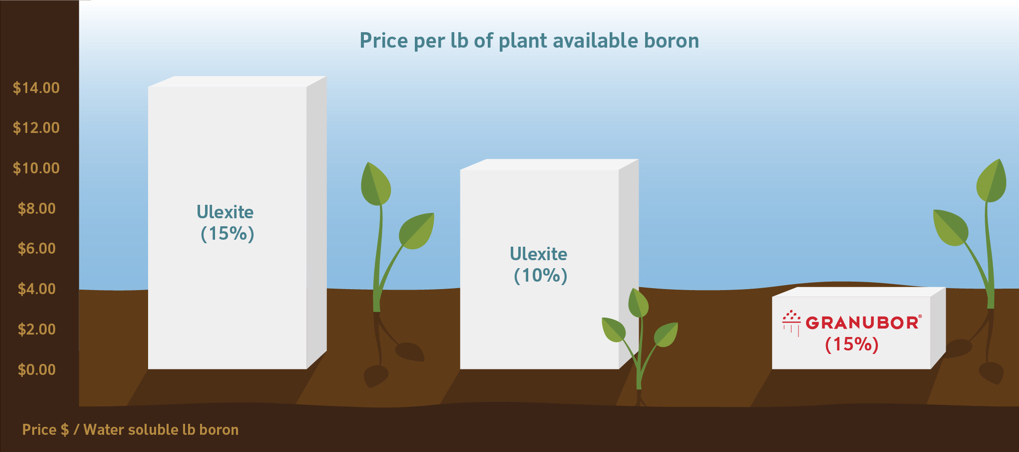 Gráfico del precio por libra de boro disponible en planta, ajustado por costo por libra. Ulexita 15 % y ulexita 10 % cuestan más en comparación con Granubor 15 %.